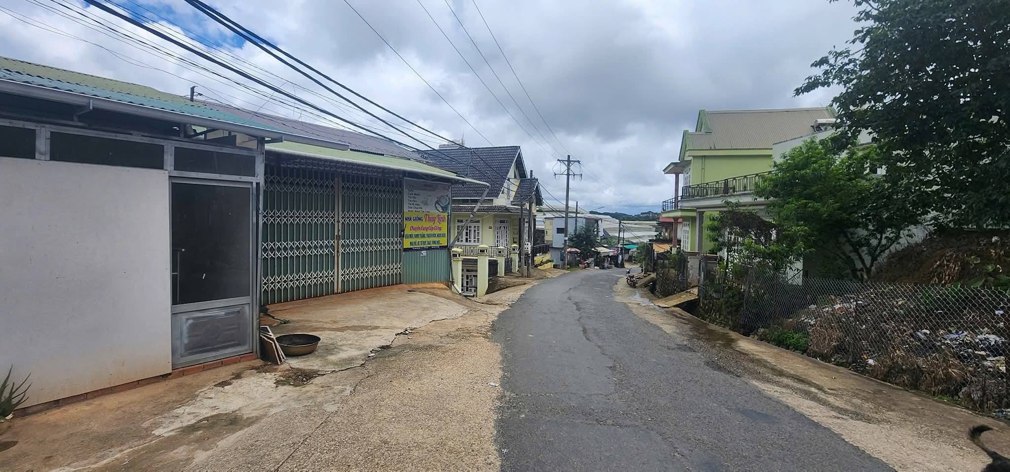 CẦN BÁN GẤP NHÀ ĐẤT RỘNG ĐƯỜNG NHỰA – PHƯỜNG 11, ĐÀ LẠT 363m2 Giá 5 Tỷ - Ảnh chính
